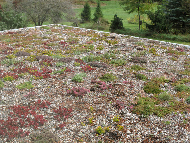 green-roofs1